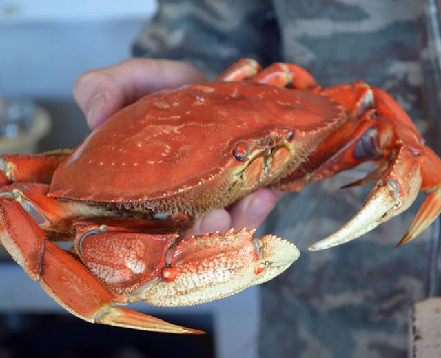 Barnacle Bill's Seafood Market