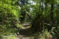 Friends of Wildwoods Open Space