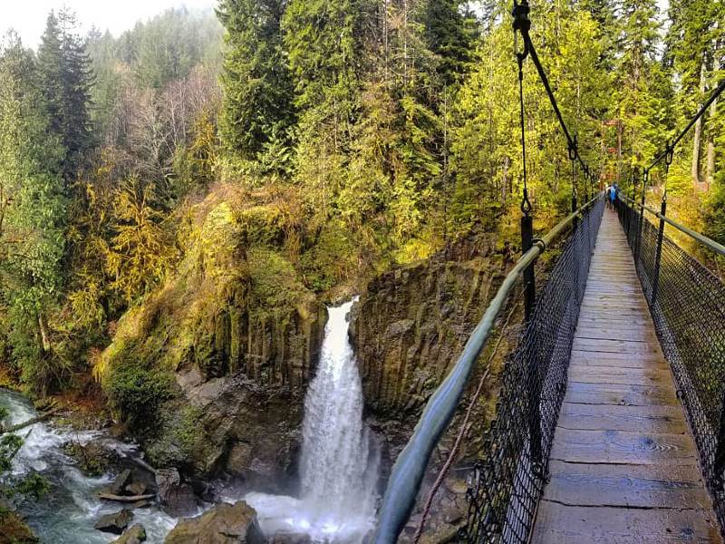 Hike - Drift Creek Falls Trail