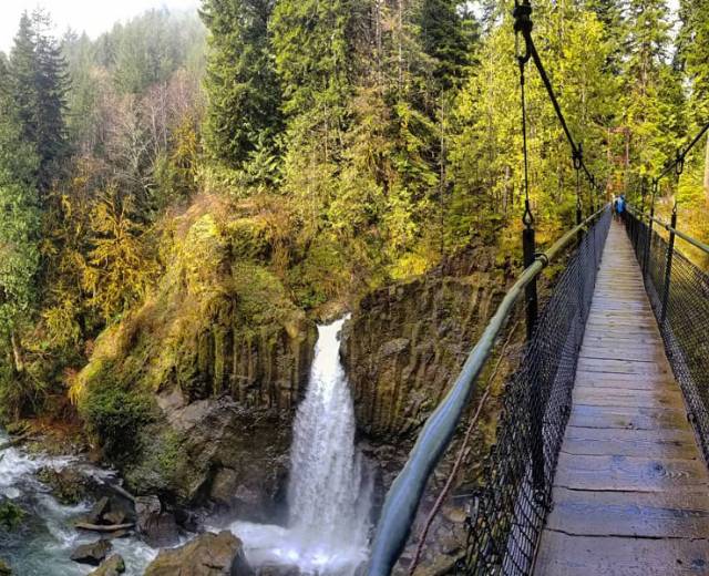 Hike - Drift Creek Falls Trail