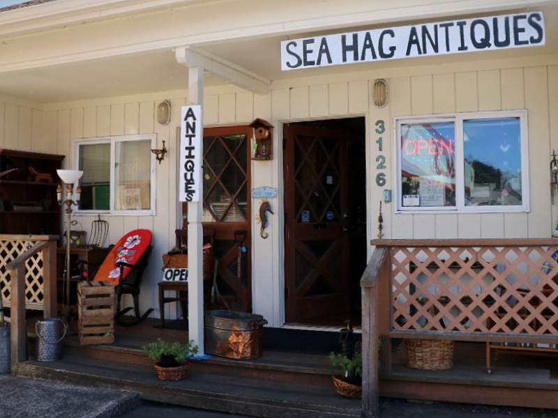 Sea Hag Antiques