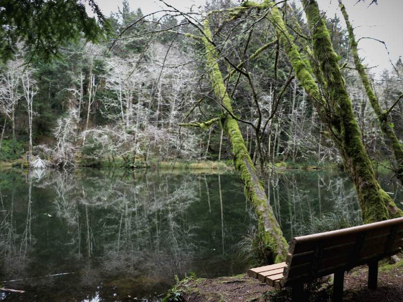 Spring Lake Open Space