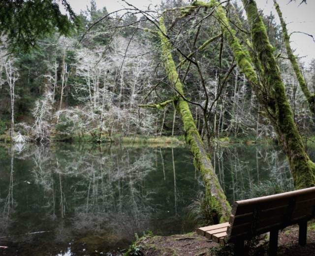 Spring Lake Open Space