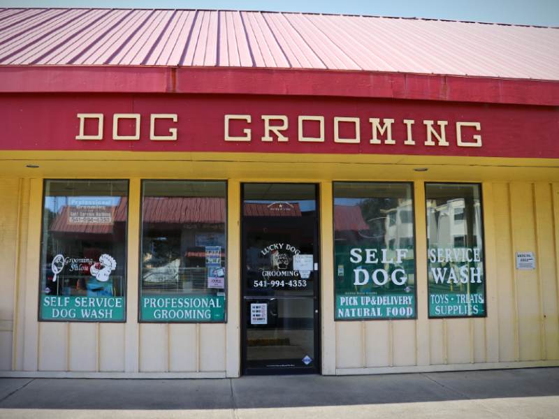 Lucky Dog Grooming