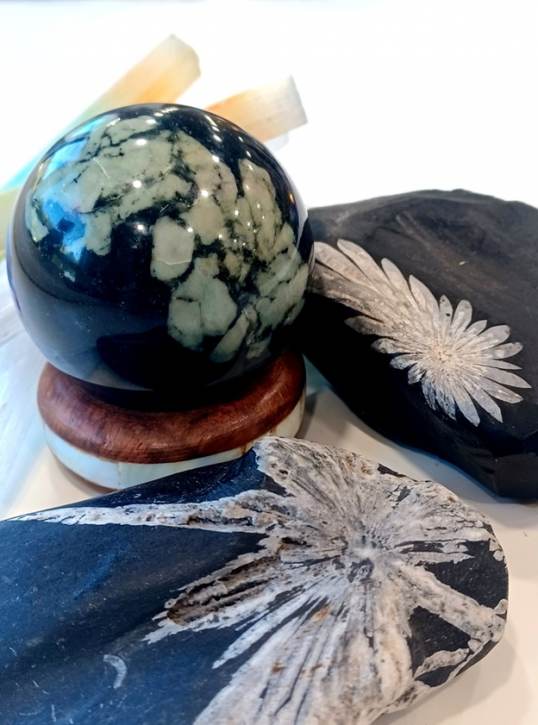 Alchemy Life & Wellness Boutique