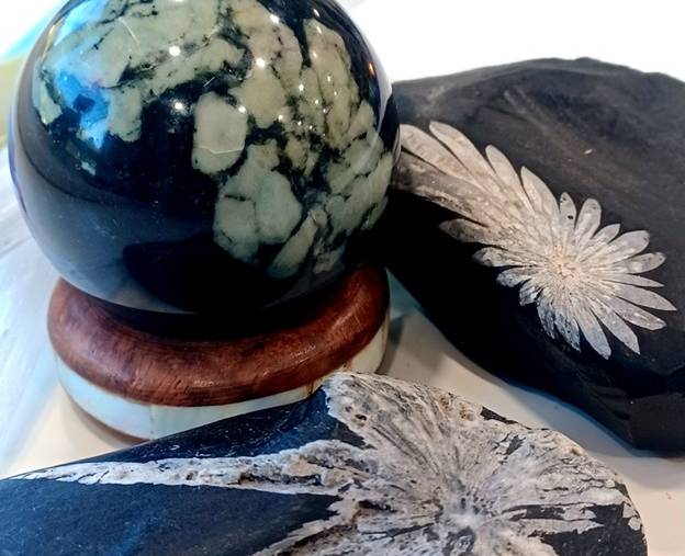 Alchemy Life & Wellness Boutique