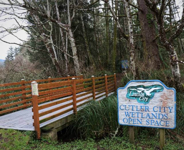 Cutler City Wetlands Open Space