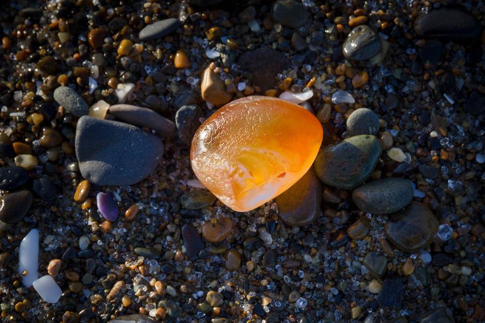 Orange agate on a pile of smaller rocks on the beach in Lincoln City, OR