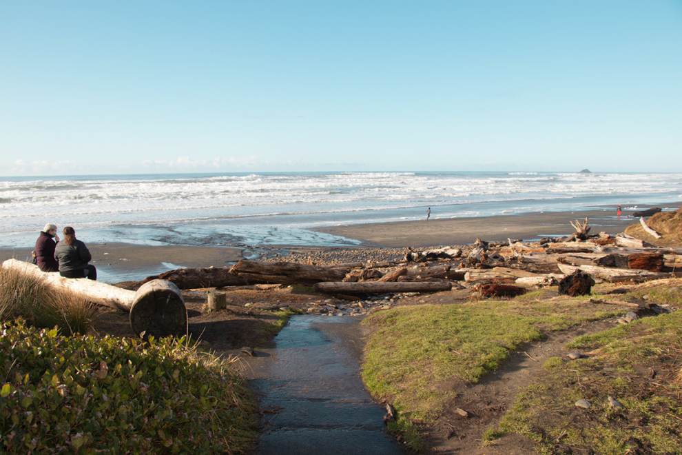 people sit on a log, admiring the ocean, next to a handicap accessible beach path