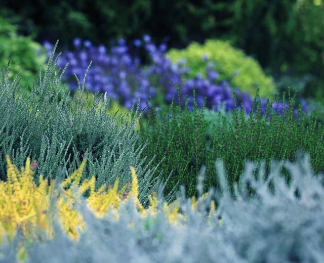 Connie Hansen Garden