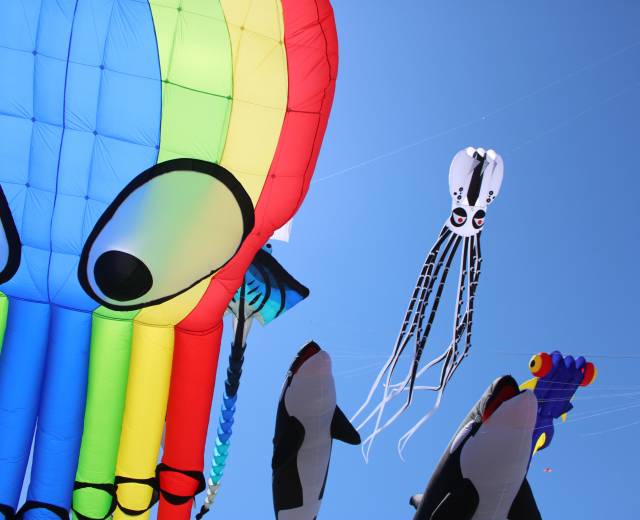 Animal shaped kites fly air. A rainbow striped character is in the foreground with whale and octopus kites in the background