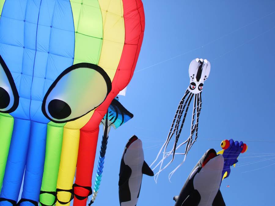Animal shaped kites fly air. A rainbow striped character is in the foreground with whale and octopus kites in the background