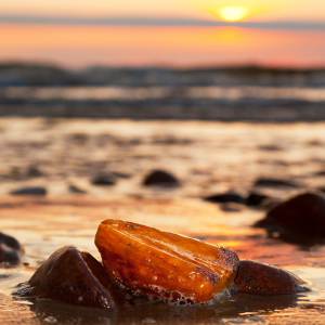 Beachcombing in Lincoln City, Oregon