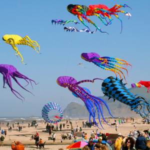 Large colorful kites flying over a crowd of people spectating at the Kite Festival in Lincoln City OR
