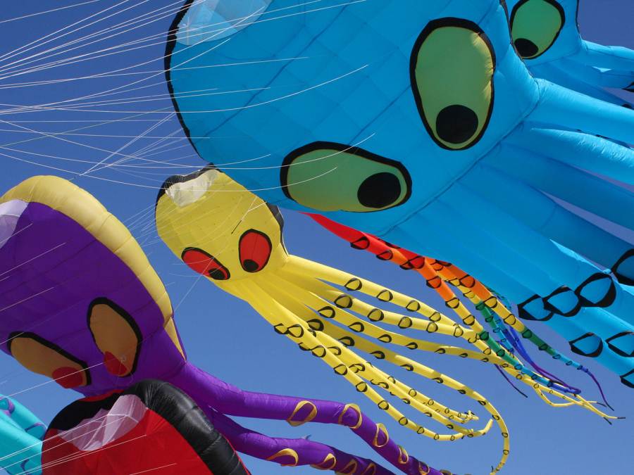Colorful kites that look like octopi fly in the skies above Lincoln City, OR as part of the Summer Kite Festival.