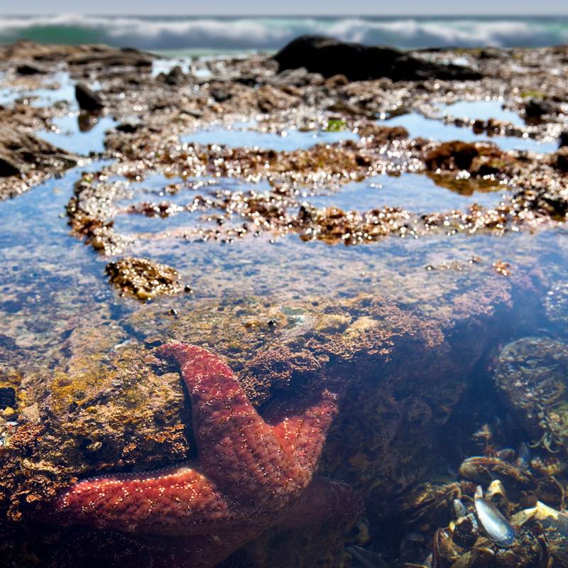 Aerial shot of waterways in Lincoln City, OR
