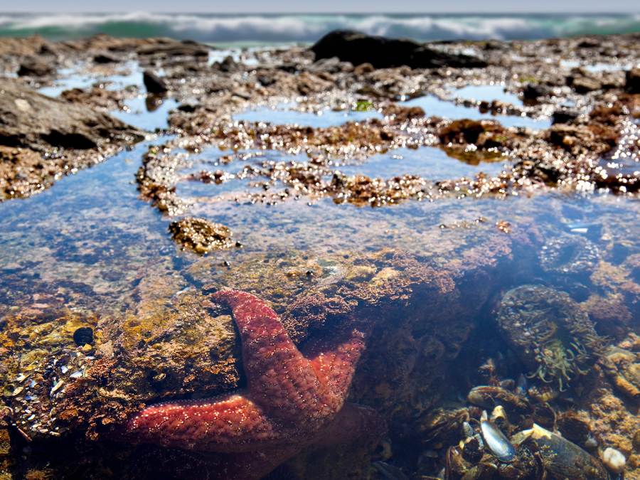 Aerial shot of waterways in Lincoln City, OR