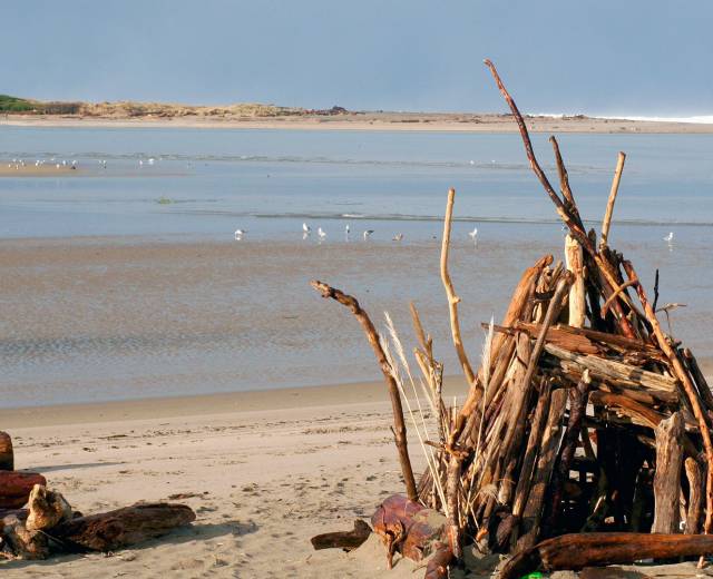 driftwood piled into a teepee on the beach in Lincoln City