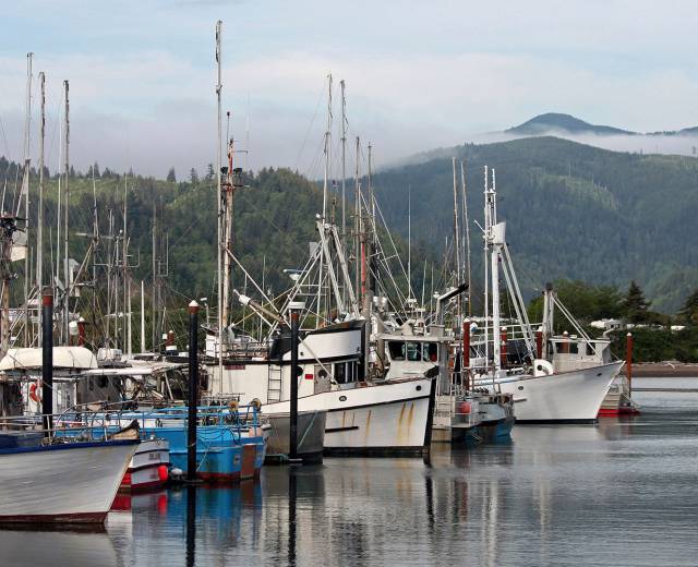 Garibaldi Marina with fishing boats docked in the  Tillamook Bay and mountains in the background in Garibaldi, Oregon