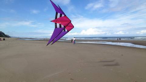 Lincoln City is the perfect place to fly a kite (or two!), with wide open beaches and just the prefect amount of wind.