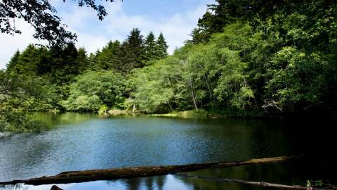 Enjoy the beauty of Spring Lake in Lincoln City